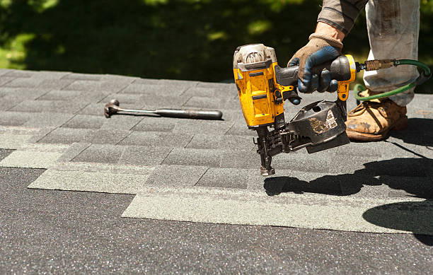 Best Roof Moss and Algae Removal  in Ramsey, NJ